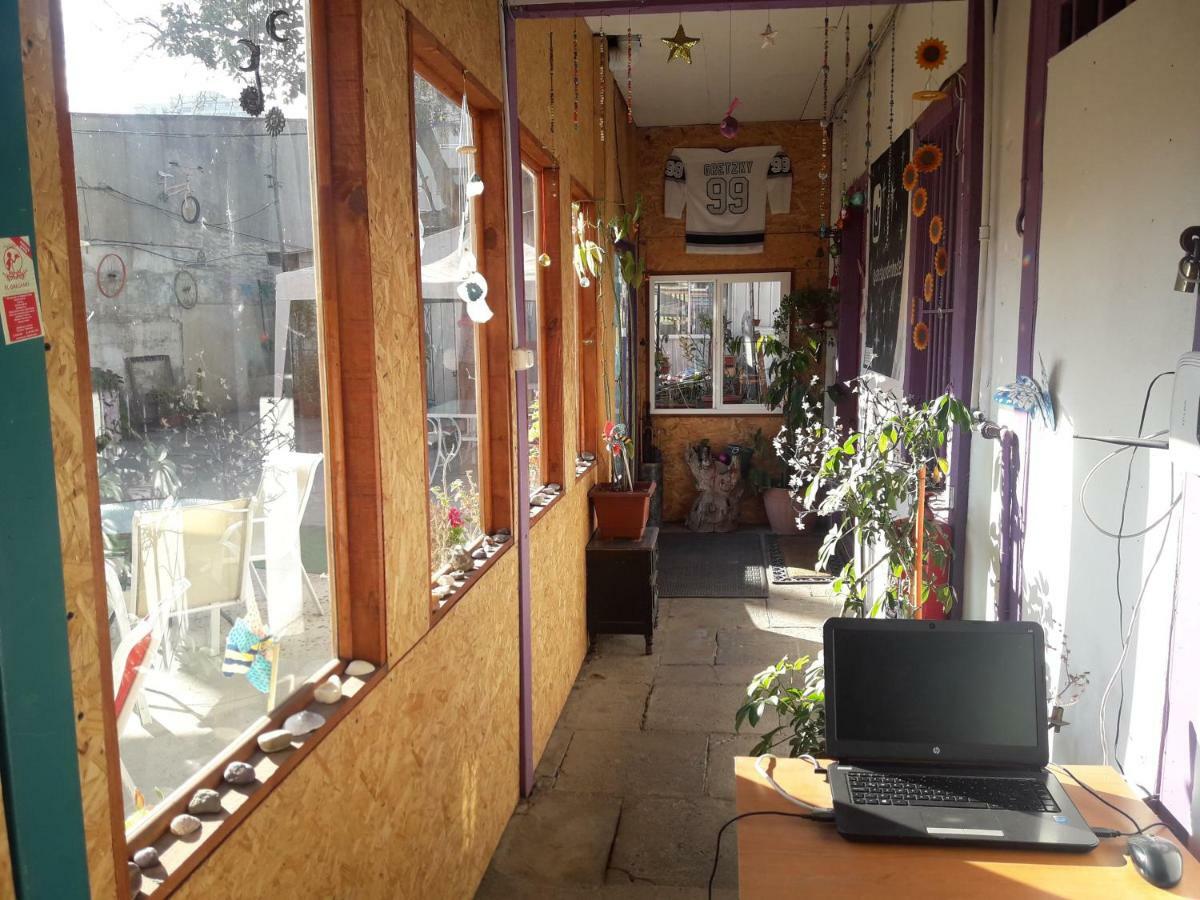 Street Garden Hostel 비냐델마르 외부 사진