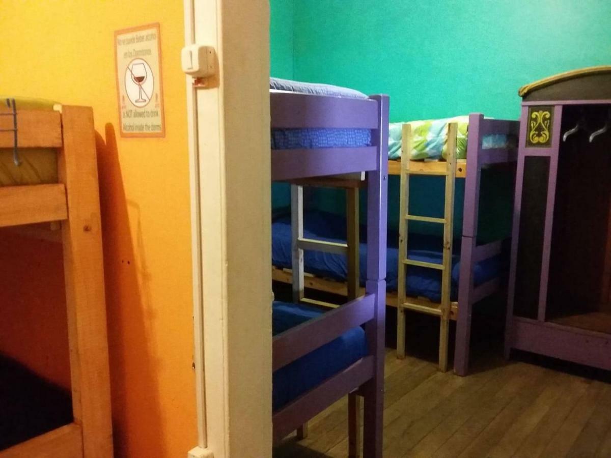 Street Garden Hostel 비냐델마르 외부 사진